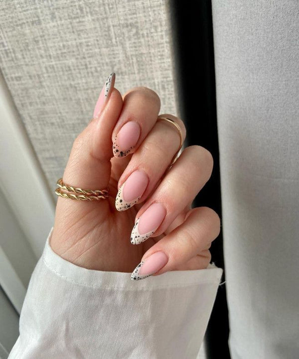 Eggshell ( french )
